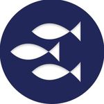 Neil Hardy Aquatica Ltd - Trade Only - @neilhardyaquaticaltd - Instagram