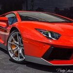 Neil Harley - @neilharley9 - Instagram