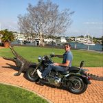 Neil Harrington - @neilharrington01 - Instagram