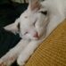 Neil Hatch - Facebook