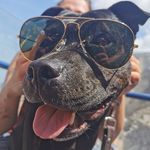 Neil Hatchek - @neil_hatchek - Instagram