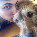 Neil Heckrotte - @neilheckrotte - Instagram