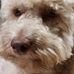 Neil Henning - Facebook