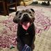 Neil Kai Henning - Facebook