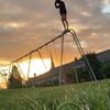 Neil Hermann - @neil_herm - TikTok