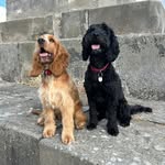 Neil Cherrington - @neil.cherrington - Instagram