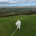 Neil Herring - @neilherring98 - Instagram