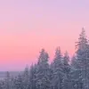 Neil Hicks - @neil.hicks6 - TikTok