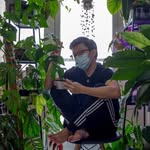Neil Ho - @leplant_ho - Instagram