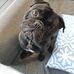 Neil Holmes - Facebook