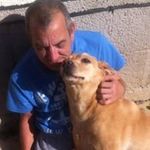 Neil Holmes - @neilholmes49 - Instagram