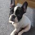 Neil Holmes - Facebook