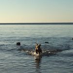 Neil Hooper - @hoops676 - Instagram