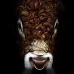 Neil Hooper - @neiljhooper - Instagram