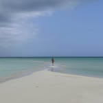 Neil Howard - @wneilh - Instagram
