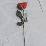 Neil hurts - @neilhurt - Instagram