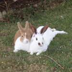 Neil Hutton - @hutton2917 - Instagram