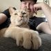Neil Hutton - Facebook