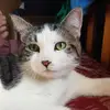 Neil Hutton - @neil.hutton5 - TikTok