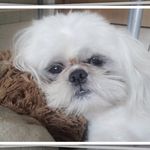 Neil Isaac Brebis - @neilisaacbrebis - Instagram
