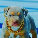 Neil - @ne.il_isaac - Instagram