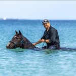 Neil Jeffery - @nudge_28 - Instagram