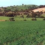 Neil Johnstone - @neil.johnstone61 - Instagram