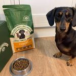 Neil Joyce - @glasses7302 - Instagram
