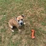 Neil Keating - @neilkeating7 - Instagram