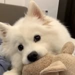 Neil Keating - @quqinnhancr7 - Instagram