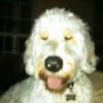 neil kelsey - @neilkelsey_b14 - Instagram