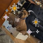 Neil Kernus - @kernusneil - Instagram