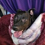 Neil Leach - @the_vurb - Instagram