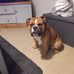 Neil Lloyd - Facebook