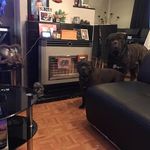 Neil Lloyd - @neil.lloyd.9256 - Instagram