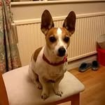 Neil Long - @neil.long.50 - Instagram