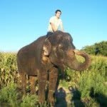 Neil - @neil_longhorn - Instagram