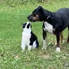 Neil Lowe - @neil.lowe2 - TikTok
