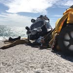 Neil Lyon - @nelly797573 - Instagram
