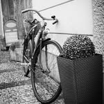 Neil Freemantle - @neil.freemantle - Instagram