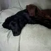 Neil Marshall - @neil.marshall80 - TikTok