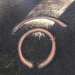 Neil Mathis - @neilmathis1 - Instagram