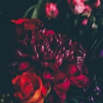 NeilMathis - @neilmathis38 - Instagram