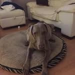 Neil Mccallum - @neil.mccallum.39 - Instagram