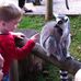 Neil McDonnell - Facebook