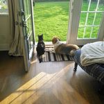 neil McEachern - @neil.mceachern - Instagram