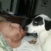 Neil Mcguire - Facebook