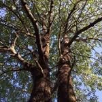 Neil McInnes - @northlandnrm - Instagram