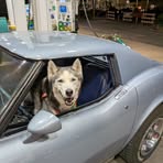Neal M Mcintyre - Facebook