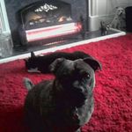 neil mclaughlin - @neilmc79 - Instagram